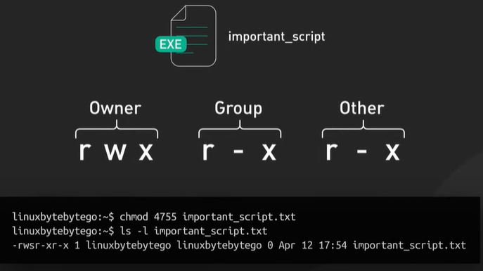 Script.
